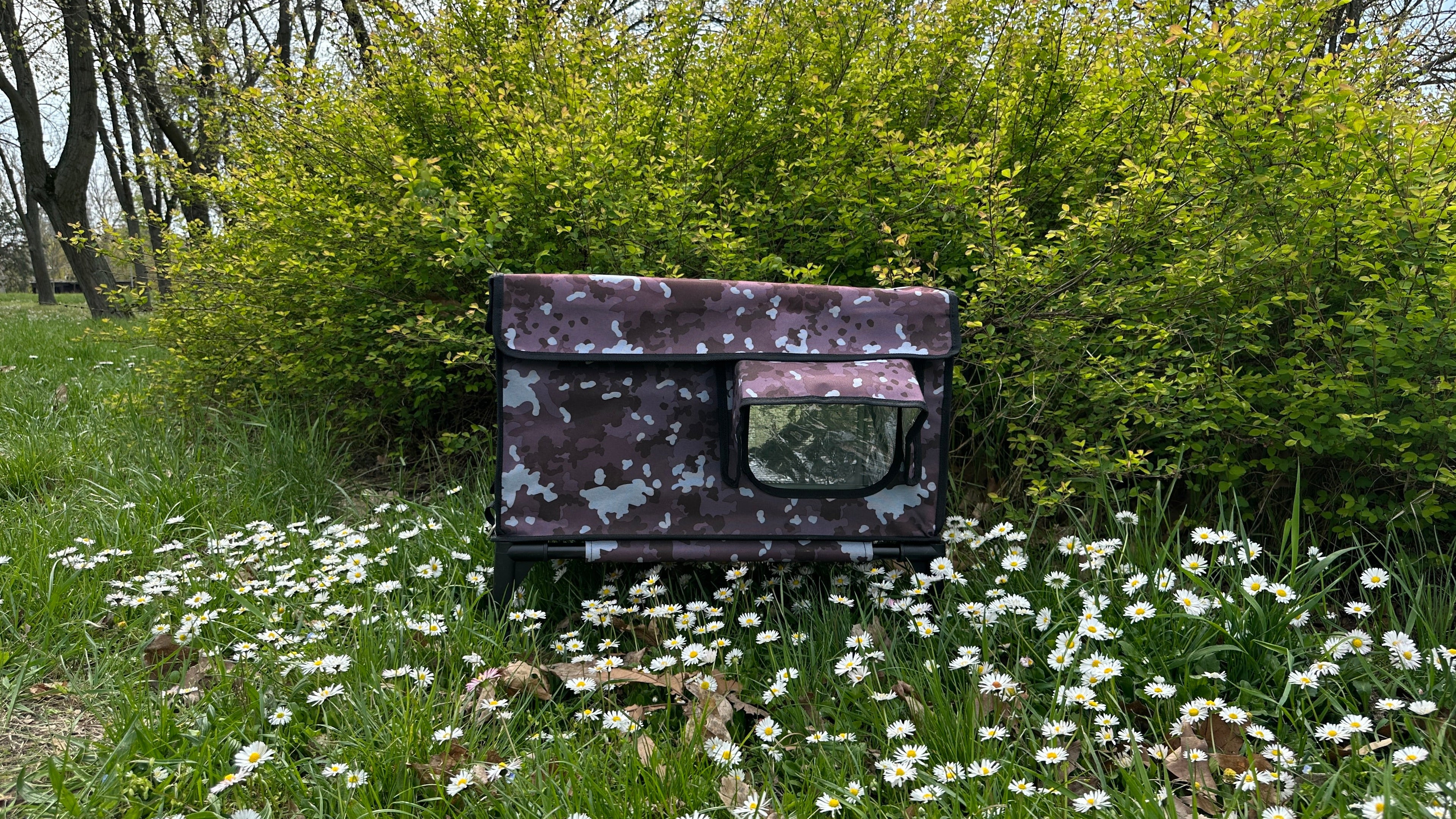 Heated vs Non-Heated Cat Houses: Is It Worth the Upgrade?